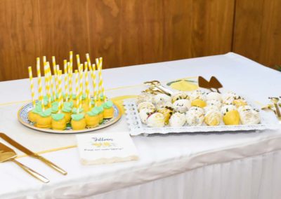 Elegant Bridal Shower Venue cape may court house